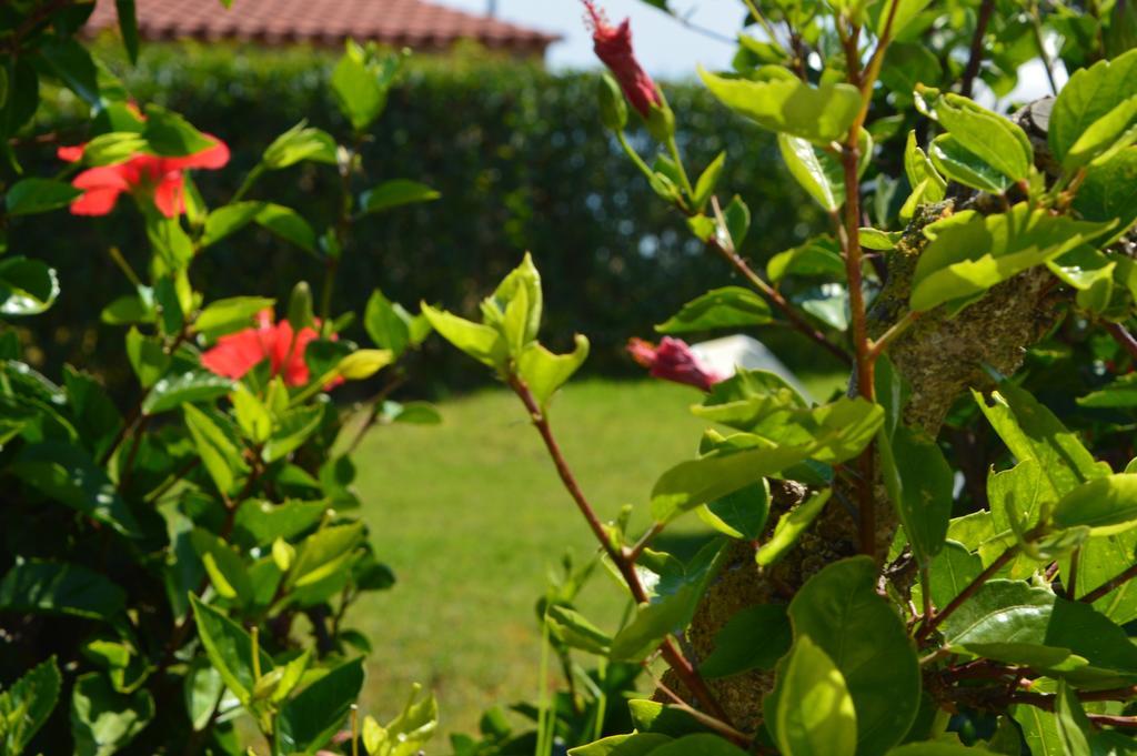 Kypseli Beach Bungalows מראה חיצוני תמונה