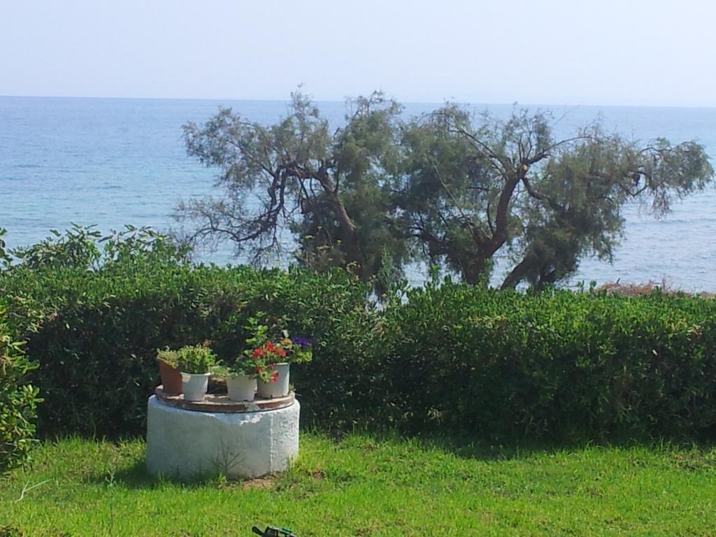 Kypseli Beach Bungalows חדר תמונה