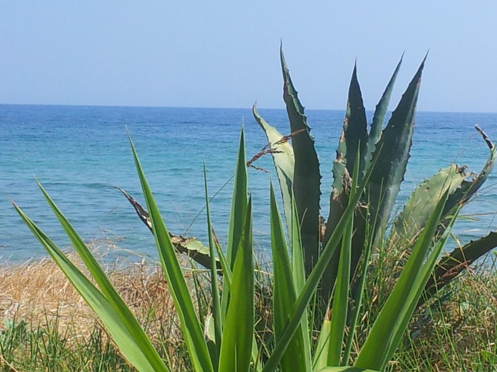 Kypseli Beach Bungalows חדר תמונה